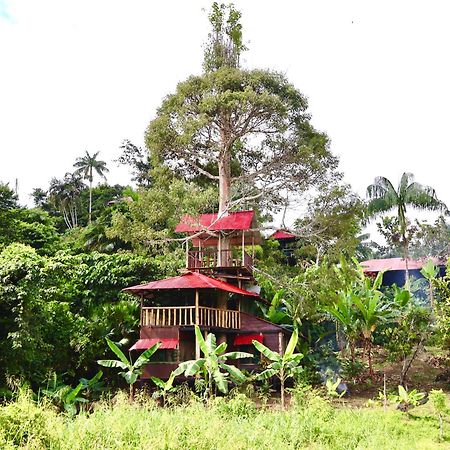 Reserva Natural Natura Park Puerto Narino Exterior photo