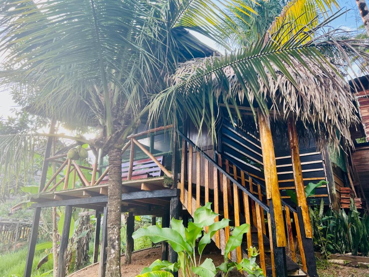 Reserva Natural Natura Park Puerto Narino Exterior photo