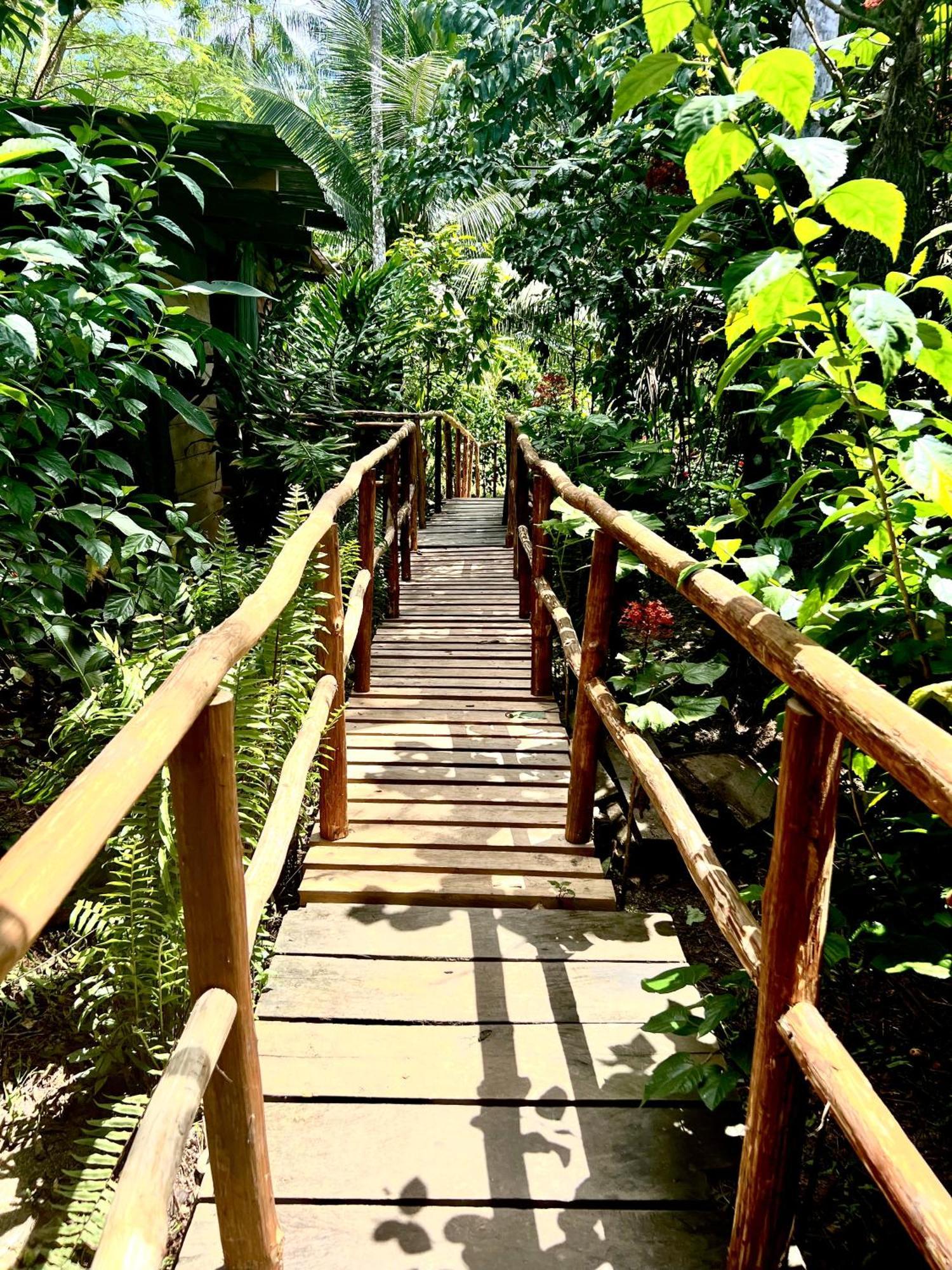Reserva Natural Natura Park Puerto Narino Exterior photo