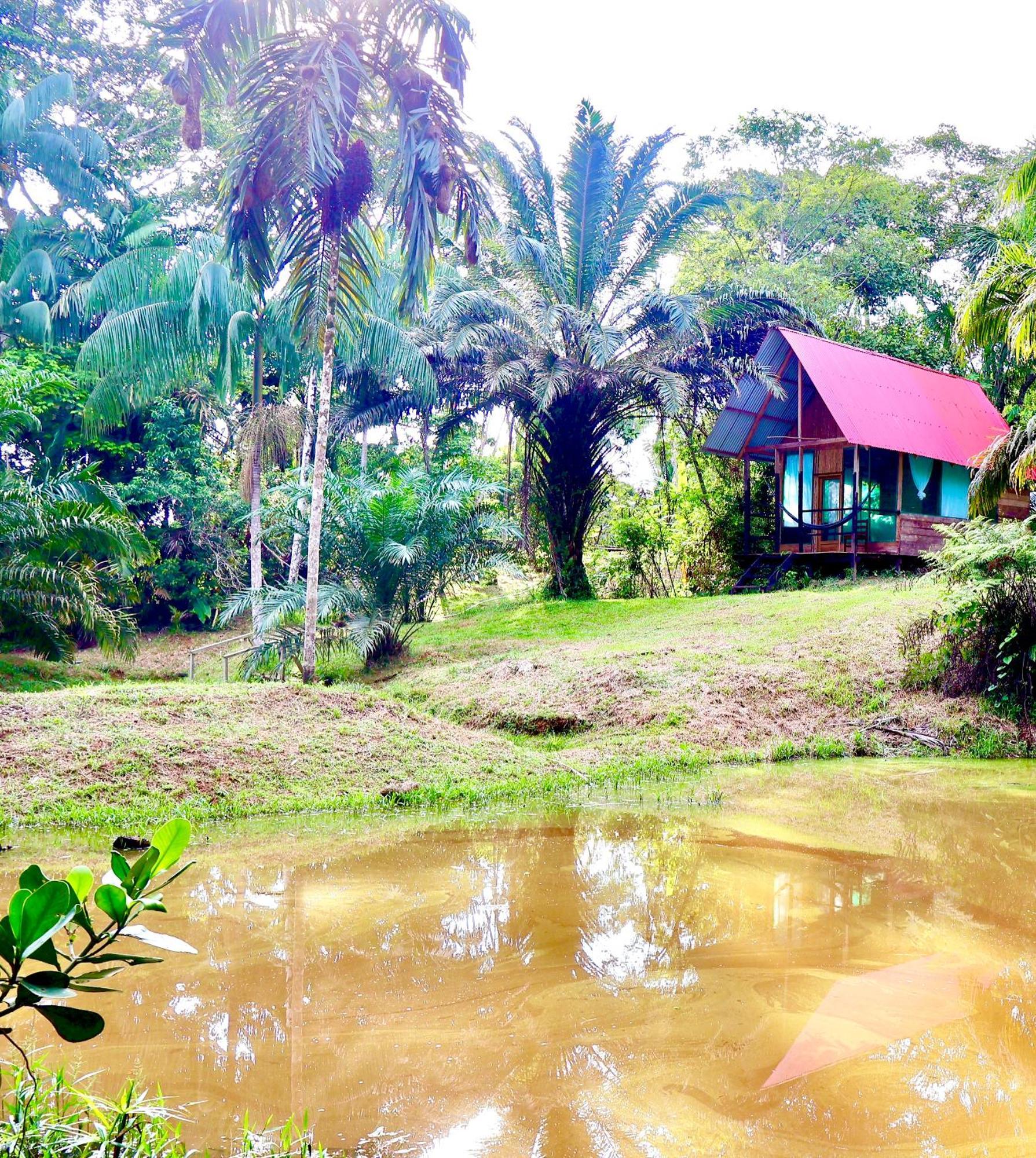 Reserva Natural Natura Park Puerto Narino Exterior photo