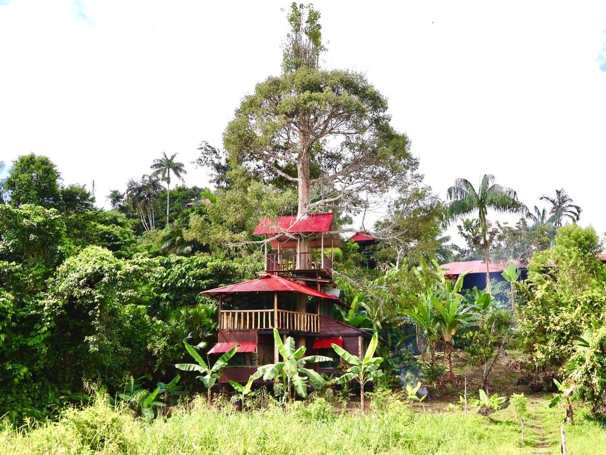 Reserva Natural Natura Park Puerto Narino Exterior photo