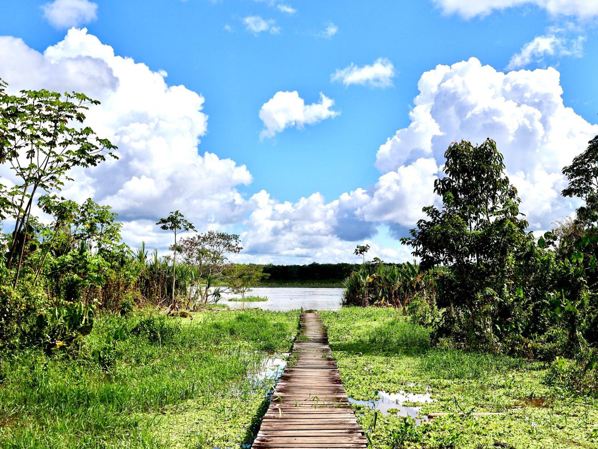 Reserva Natural Natura Park Puerto Narino Exterior photo