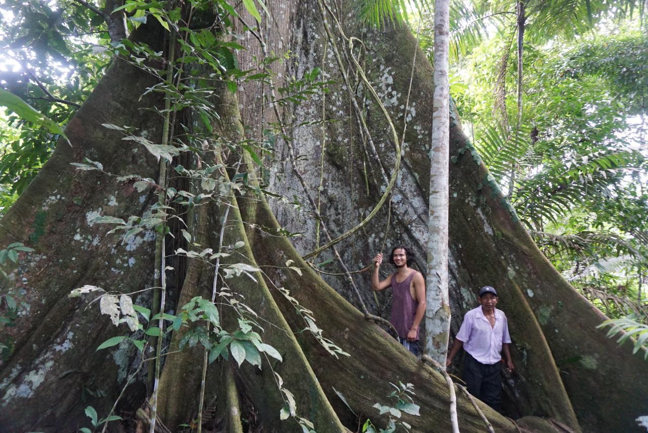 Reserva Natural Natura Park Puerto Narino Exterior photo